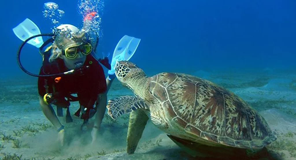 marsa-alam-2027